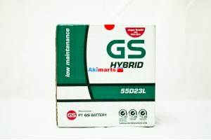GS Hybrid 55D23L